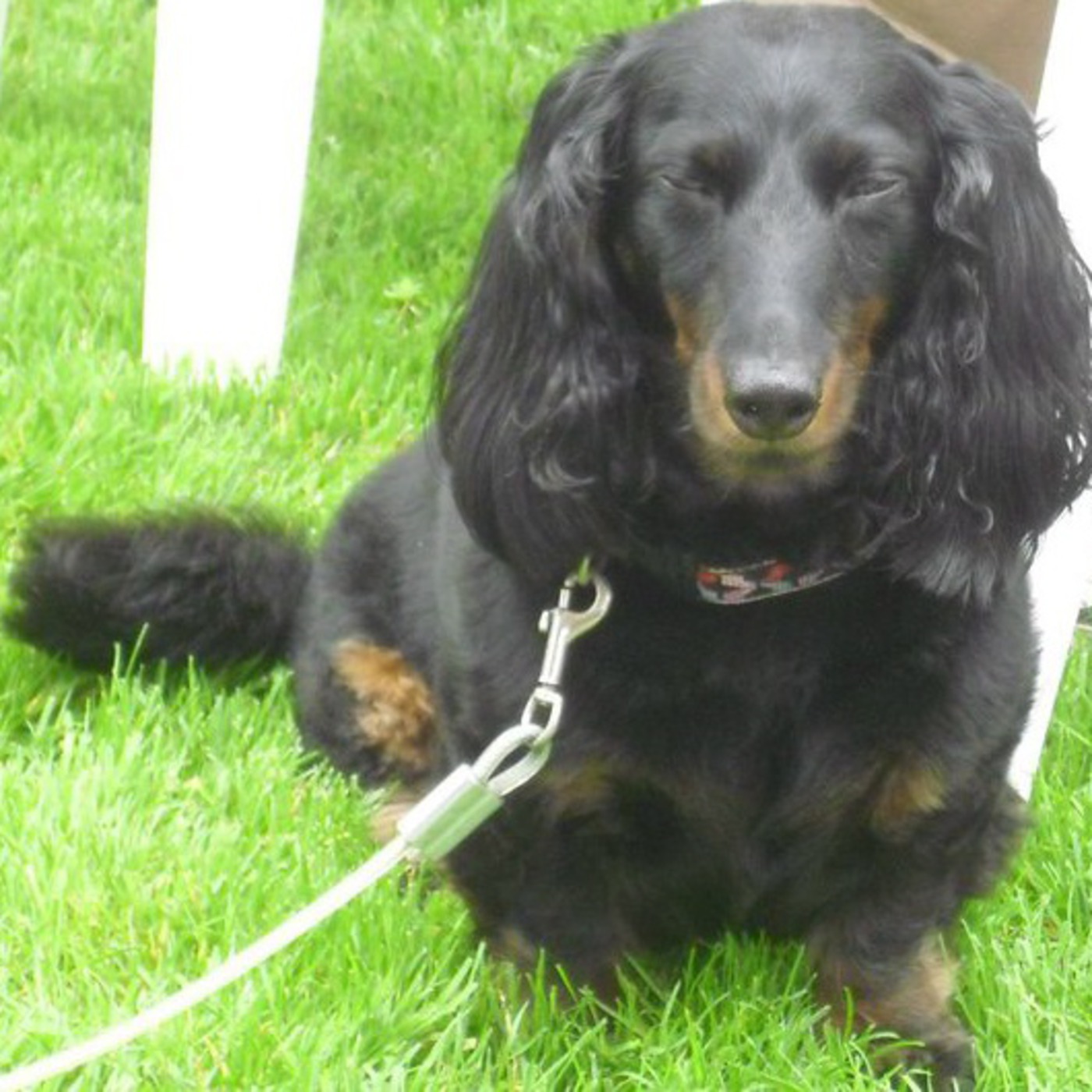 allyandjessthepodcast