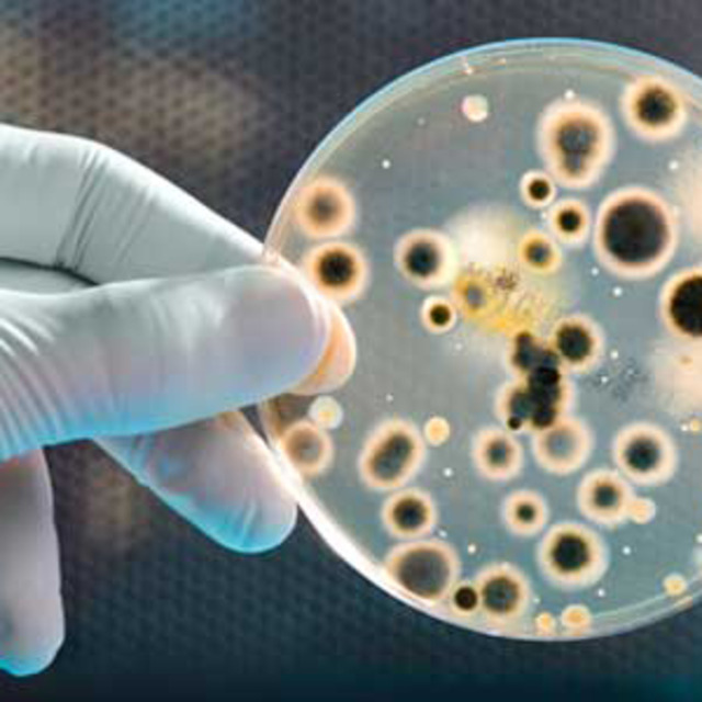 The Future Psi-Borg Lounge