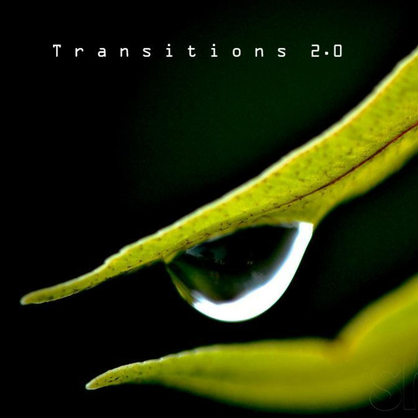 2012 November Transitions 2.0