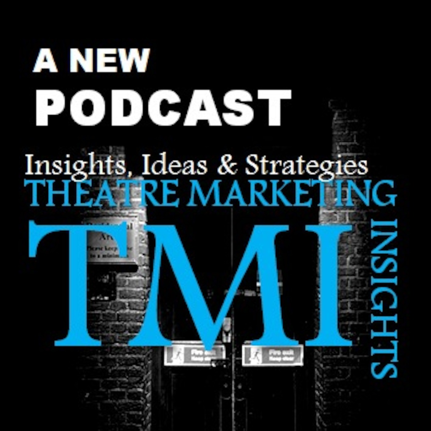 Theatre Marketing Insights