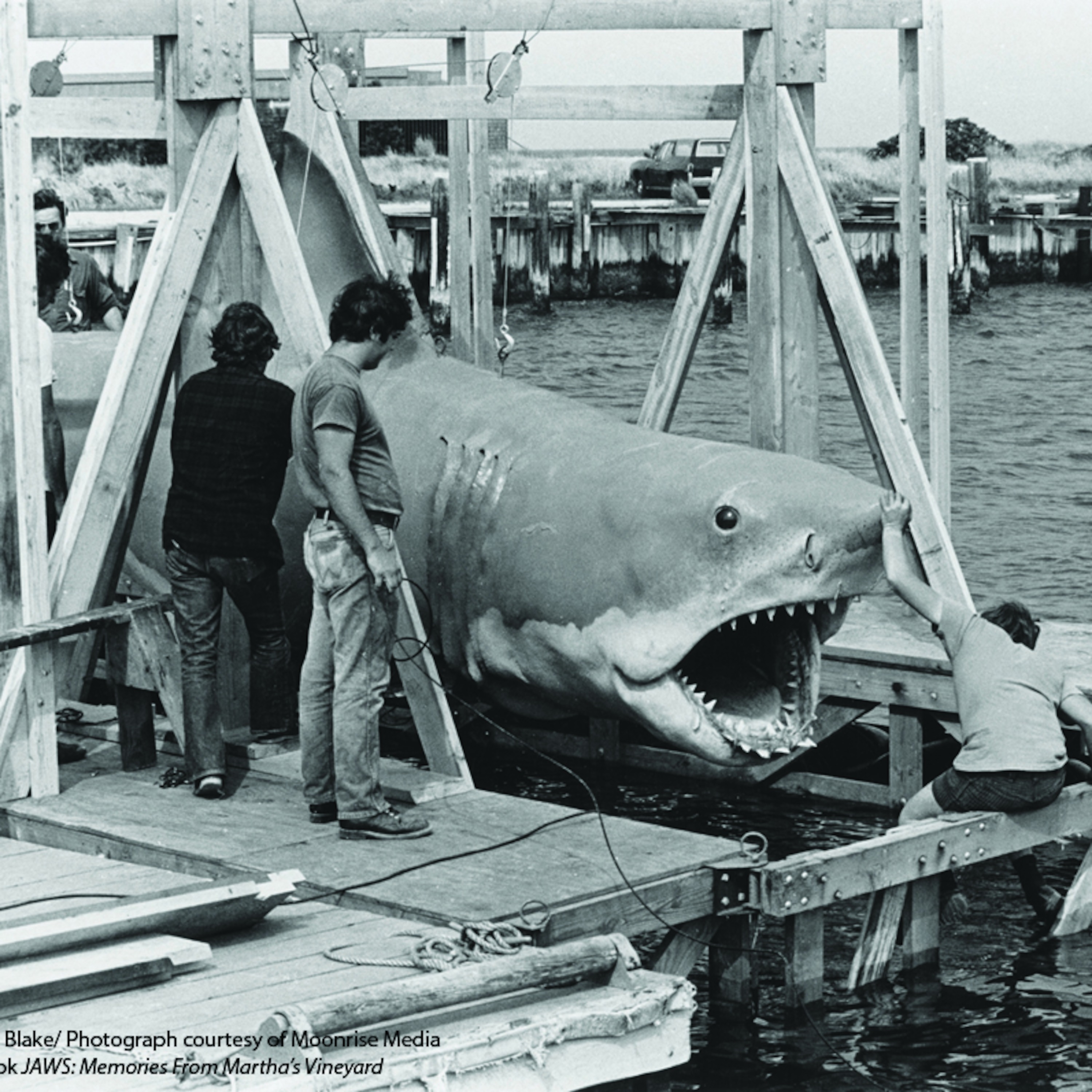 FilmAspire Podcast Episode 71 (Sometimes The Shark Don't Work!) episode artwork