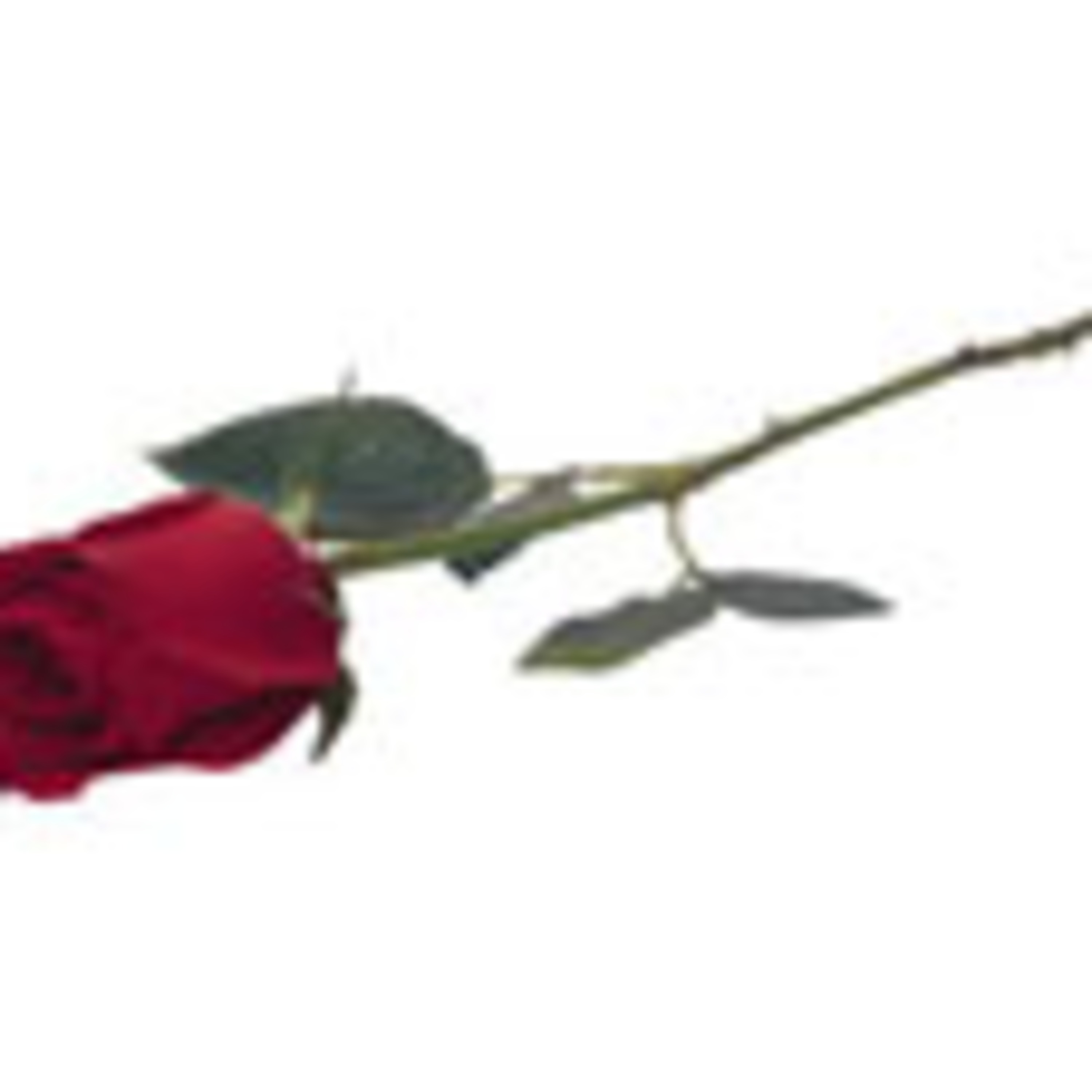 tonyaradiosi\'s Podcast