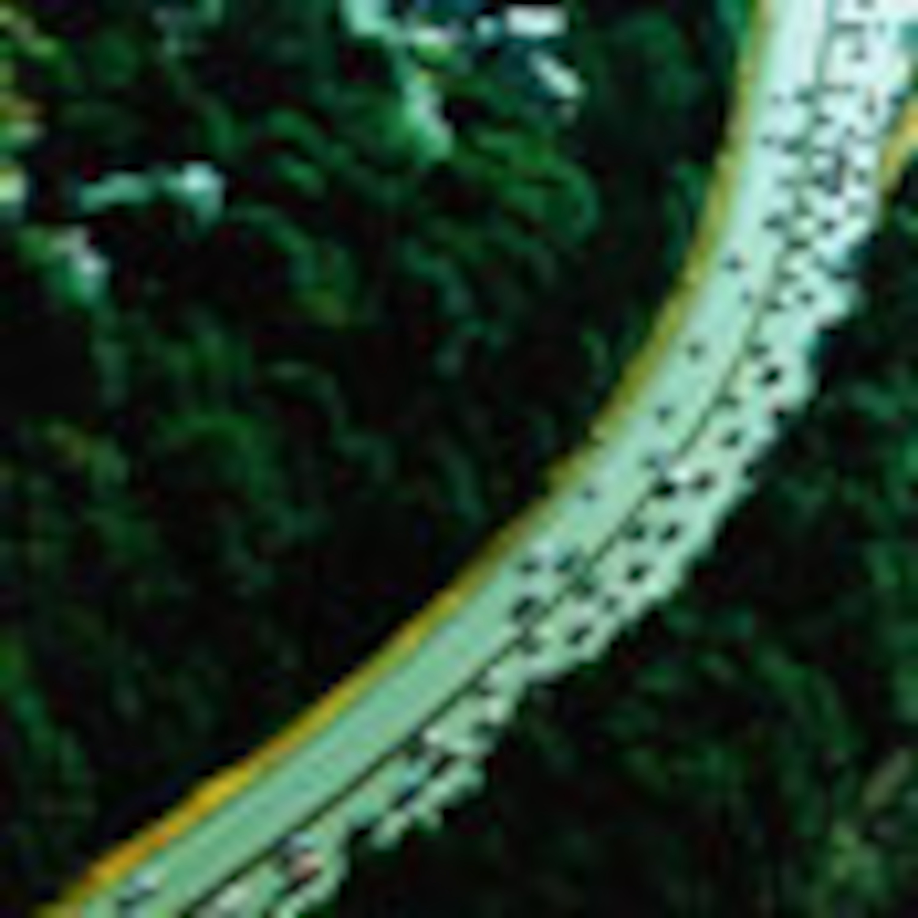 tonyaradiosi\'s Podcast