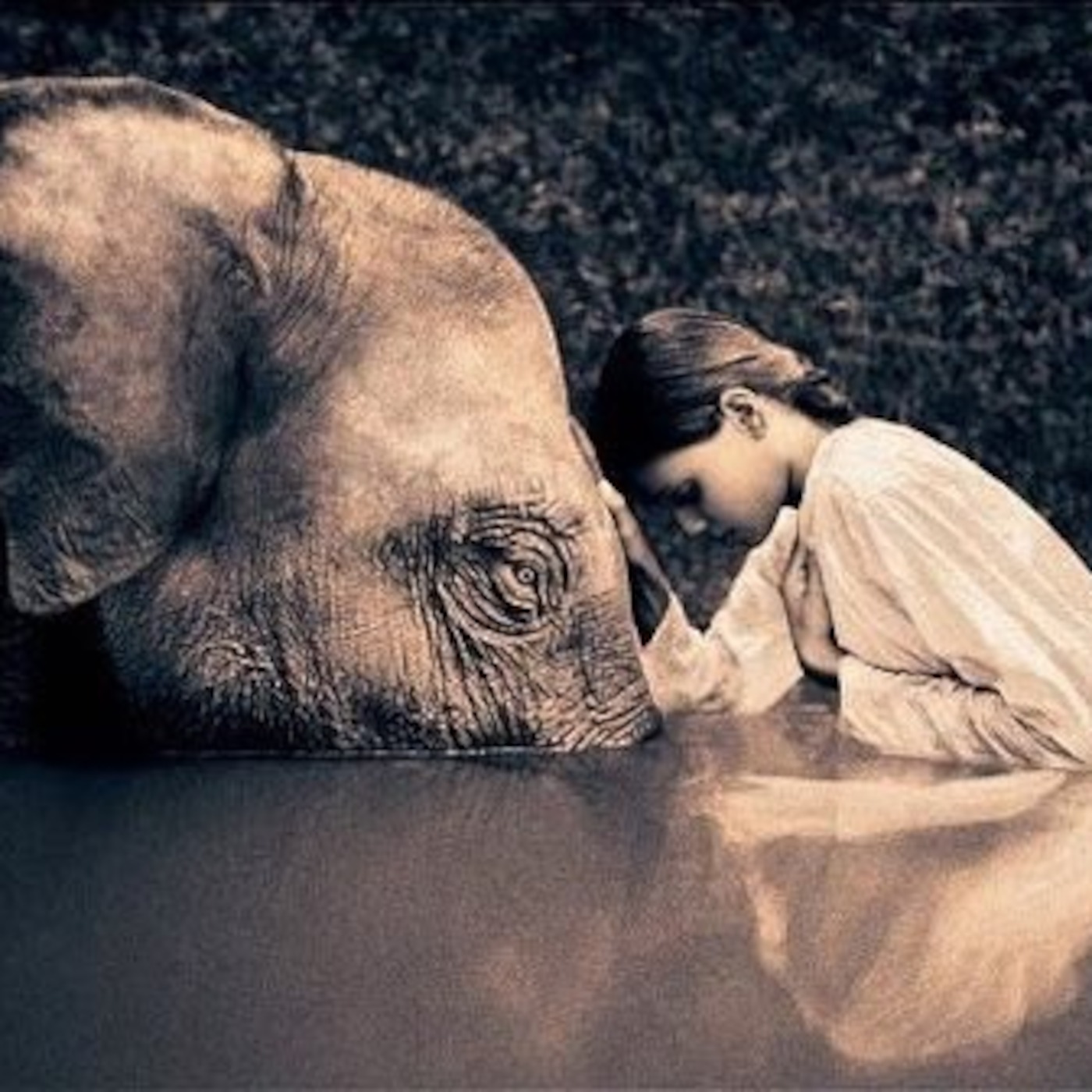 What is Love?