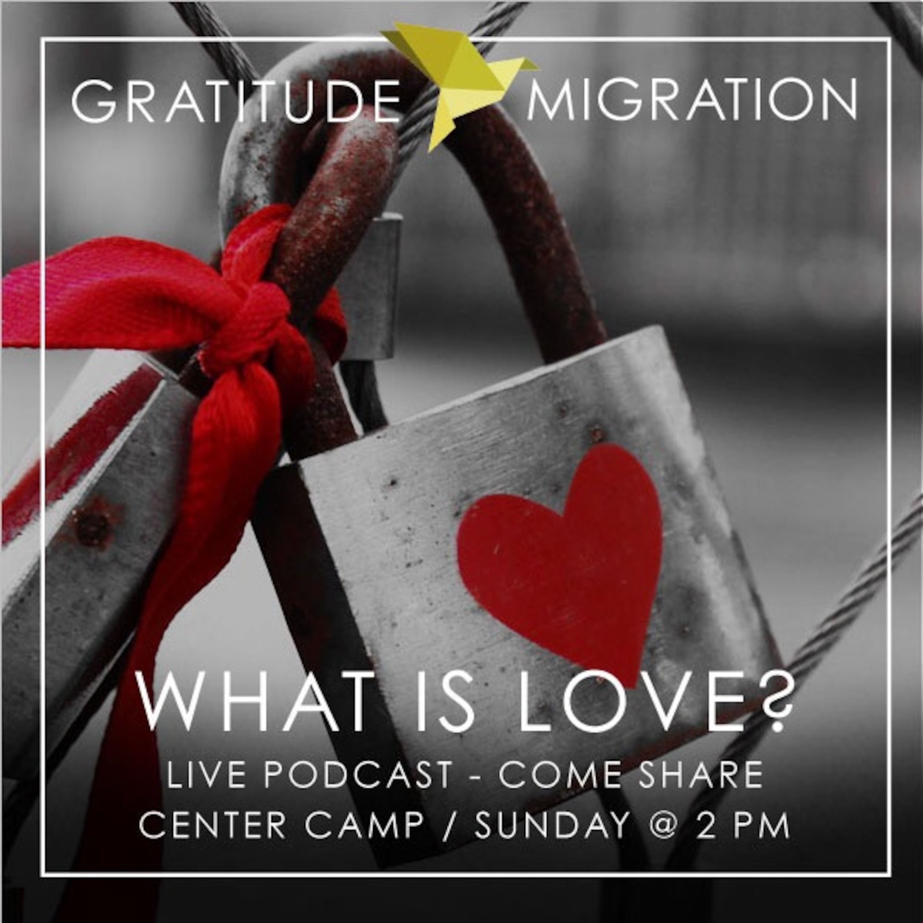 What Is Love - Episode 19: "Live broadcast from the beach at Gratitude Migration"