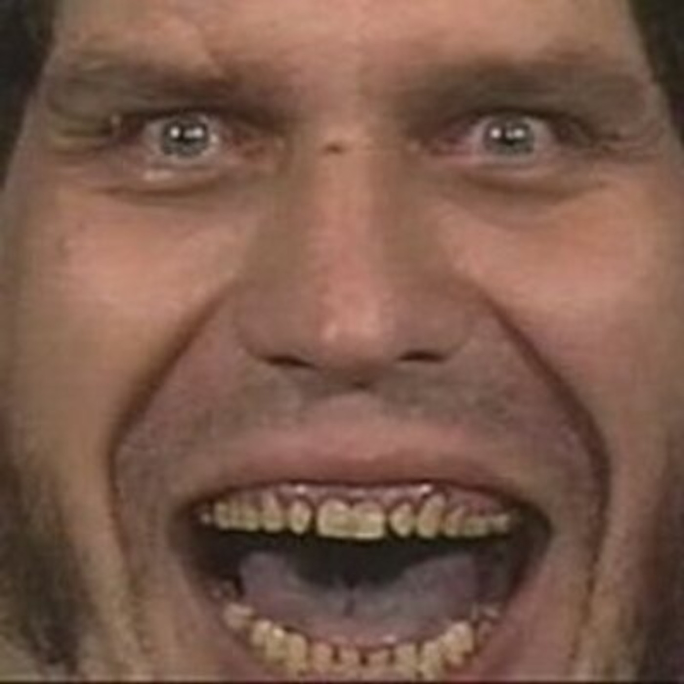 The 8th Wonder of the World - Andre The Giant