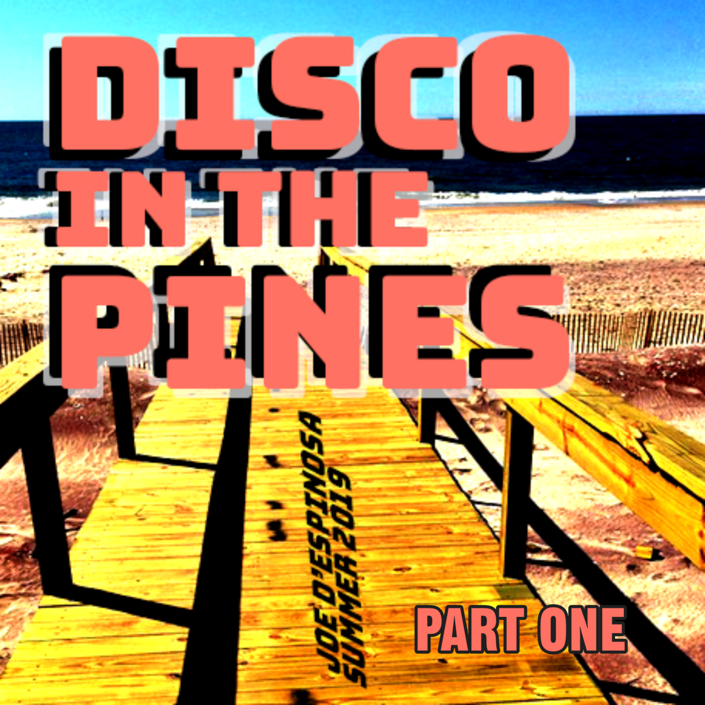 Episode 10: Part 1 of 2: DIsco in the Pines . A Fire Island Tribute . Summer 2019