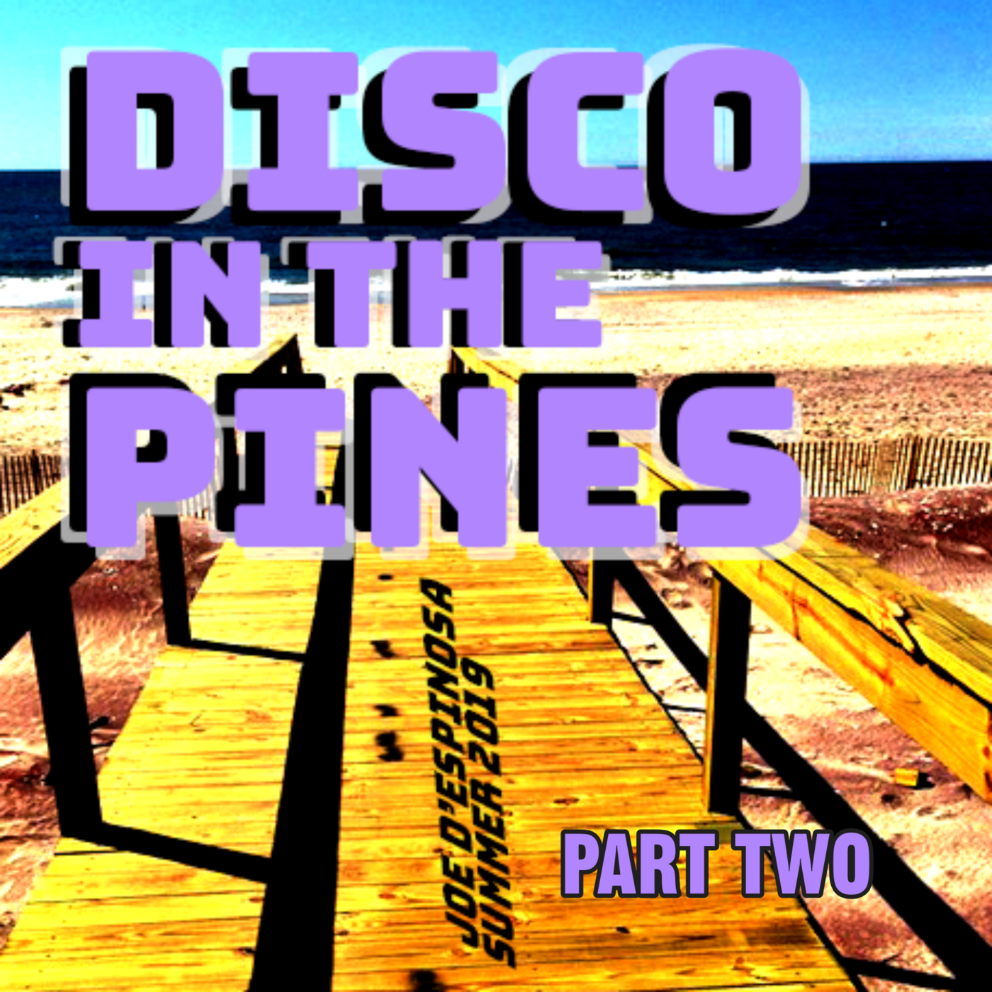 Episode 11: Part 2 of 2: DIsco in the Pines . A Fire Island Tribute . Summer 2019