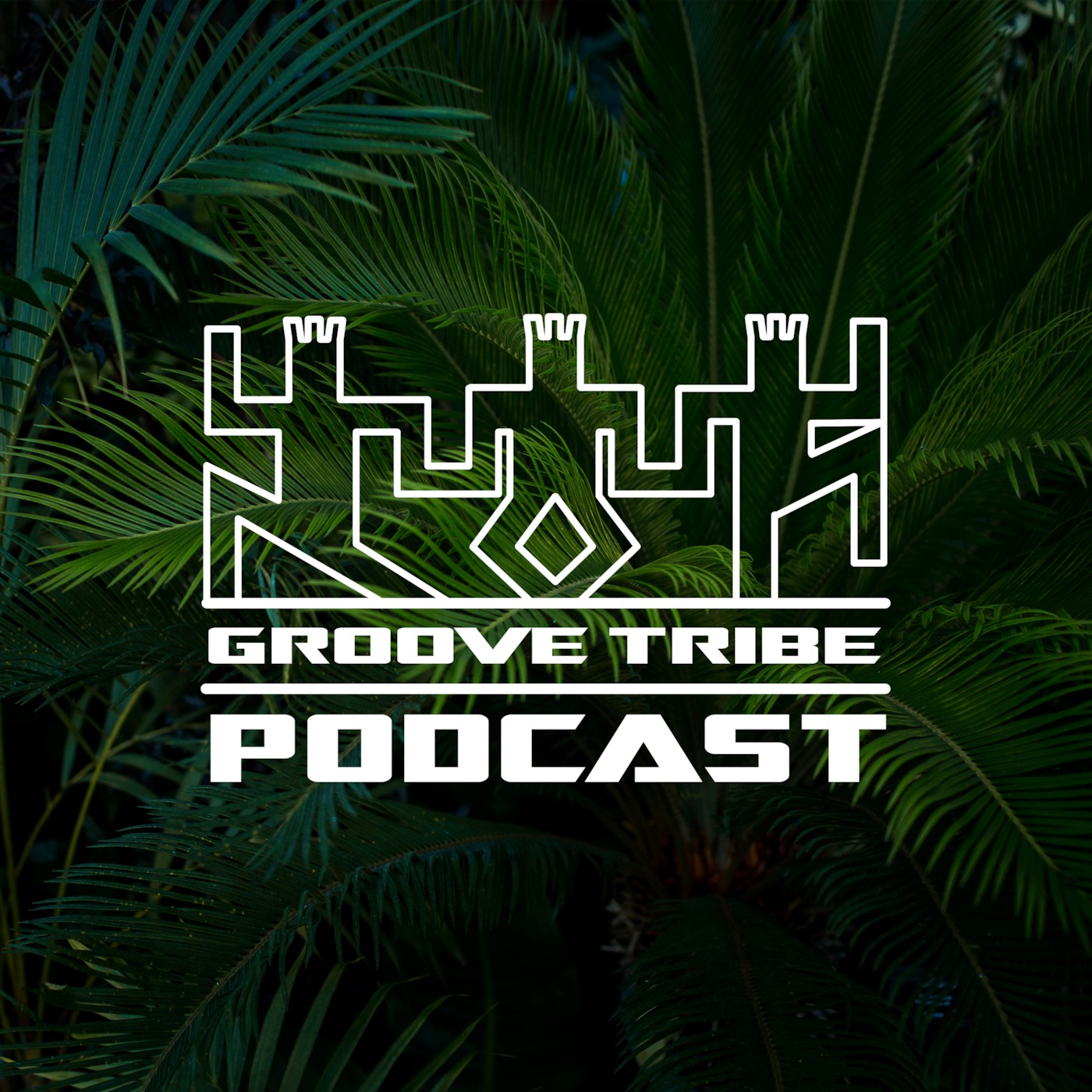 GROOVE TRIBE Podcast