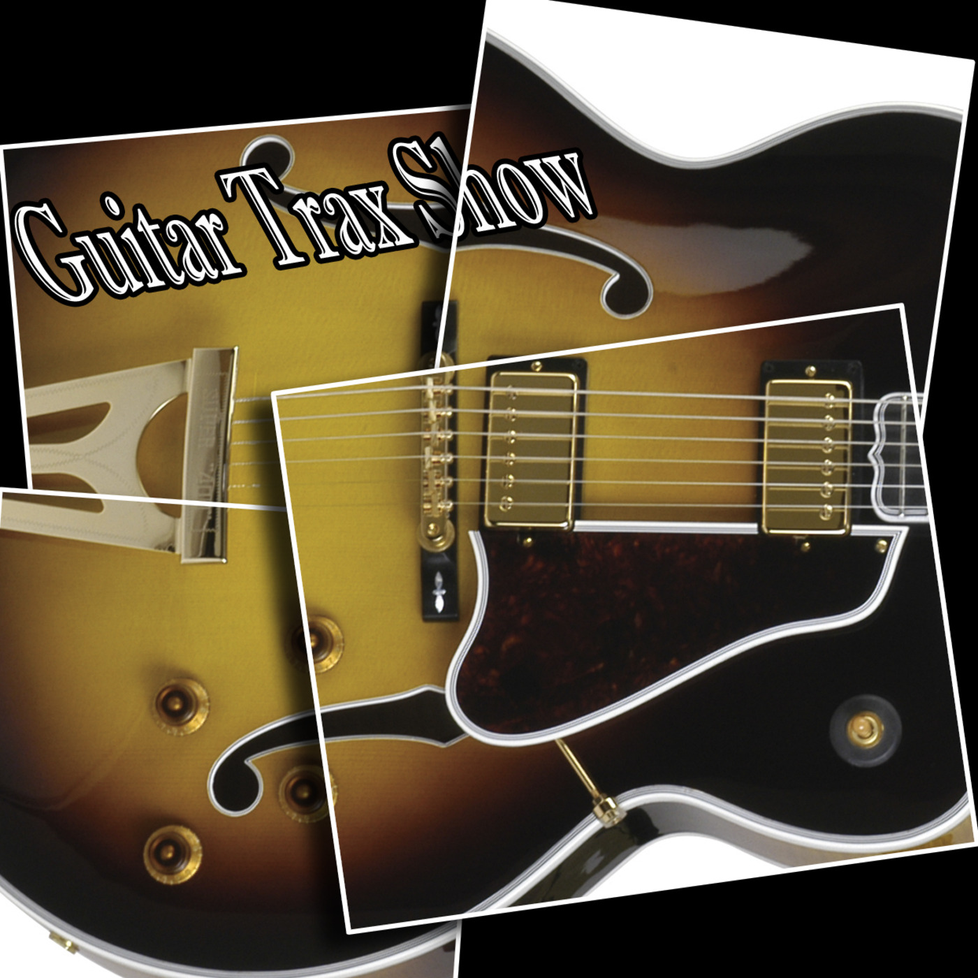 Larry Coryell Interview