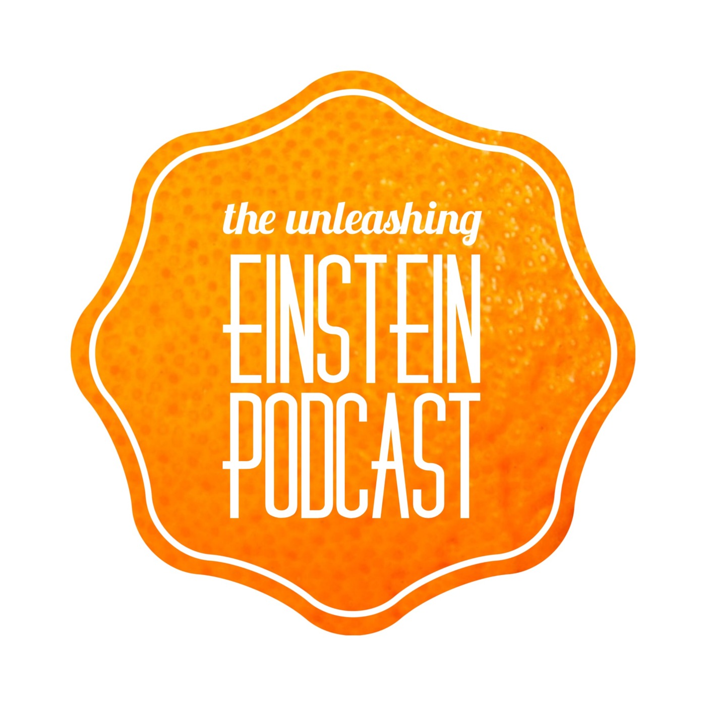 Podcast The Unleashing Einstein Podcast