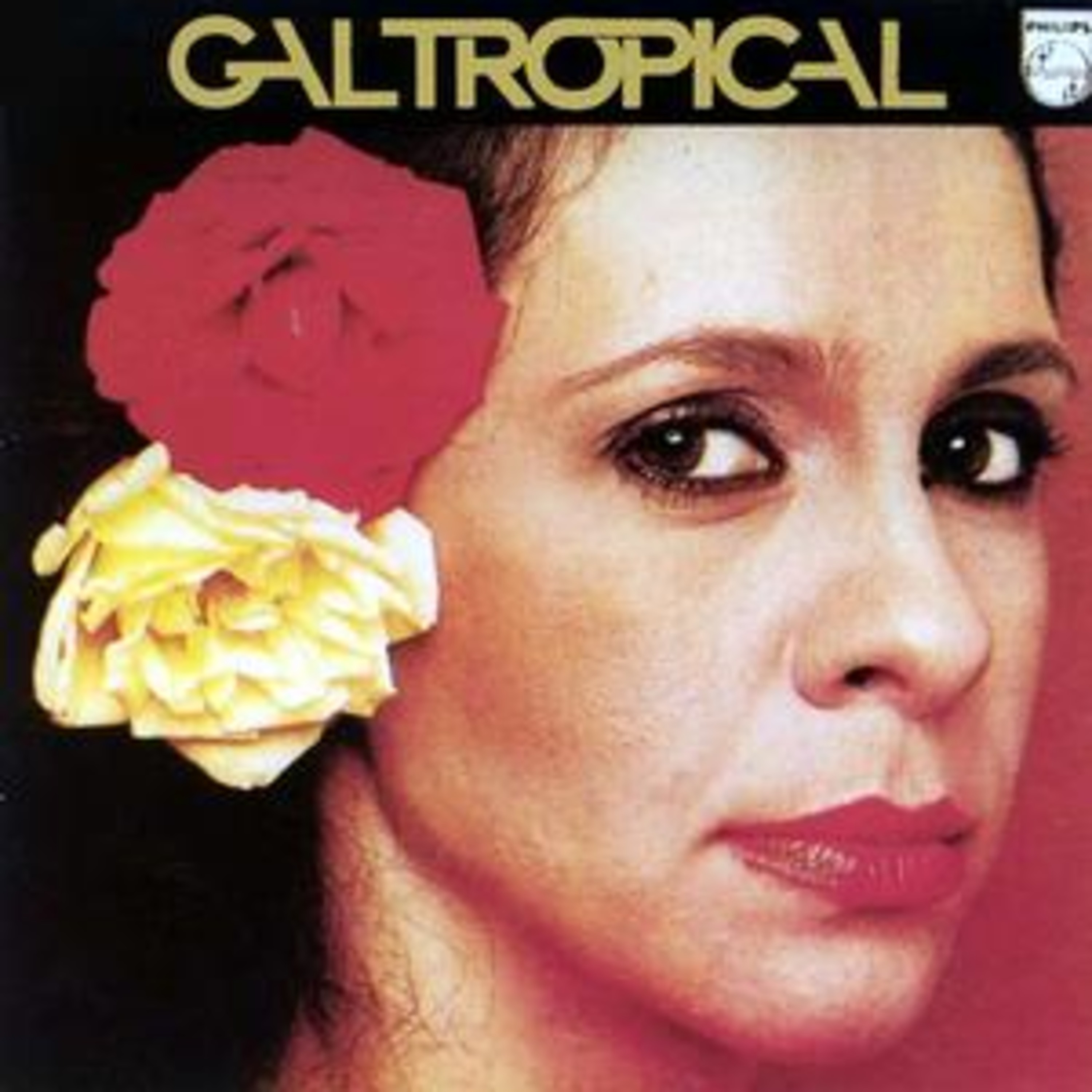 HISTÓRIA DA MPB