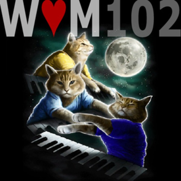 three keyboard cat moon