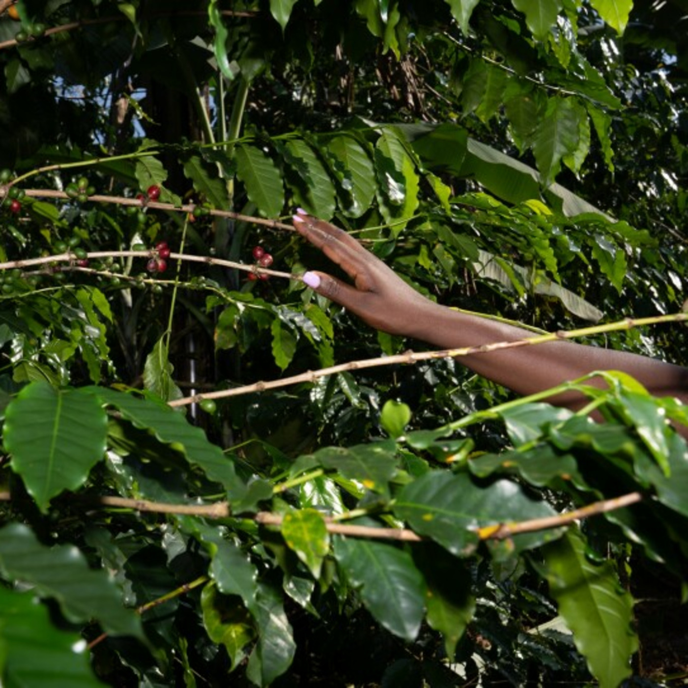 djkevtech\'s Podcast