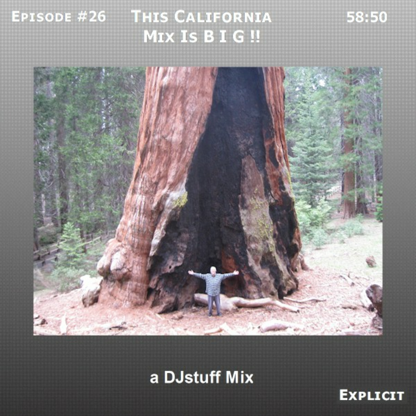 Ray Ford - 1 Glitchy B.I.G. W. Coast Cali Mix - 030 episode artwork