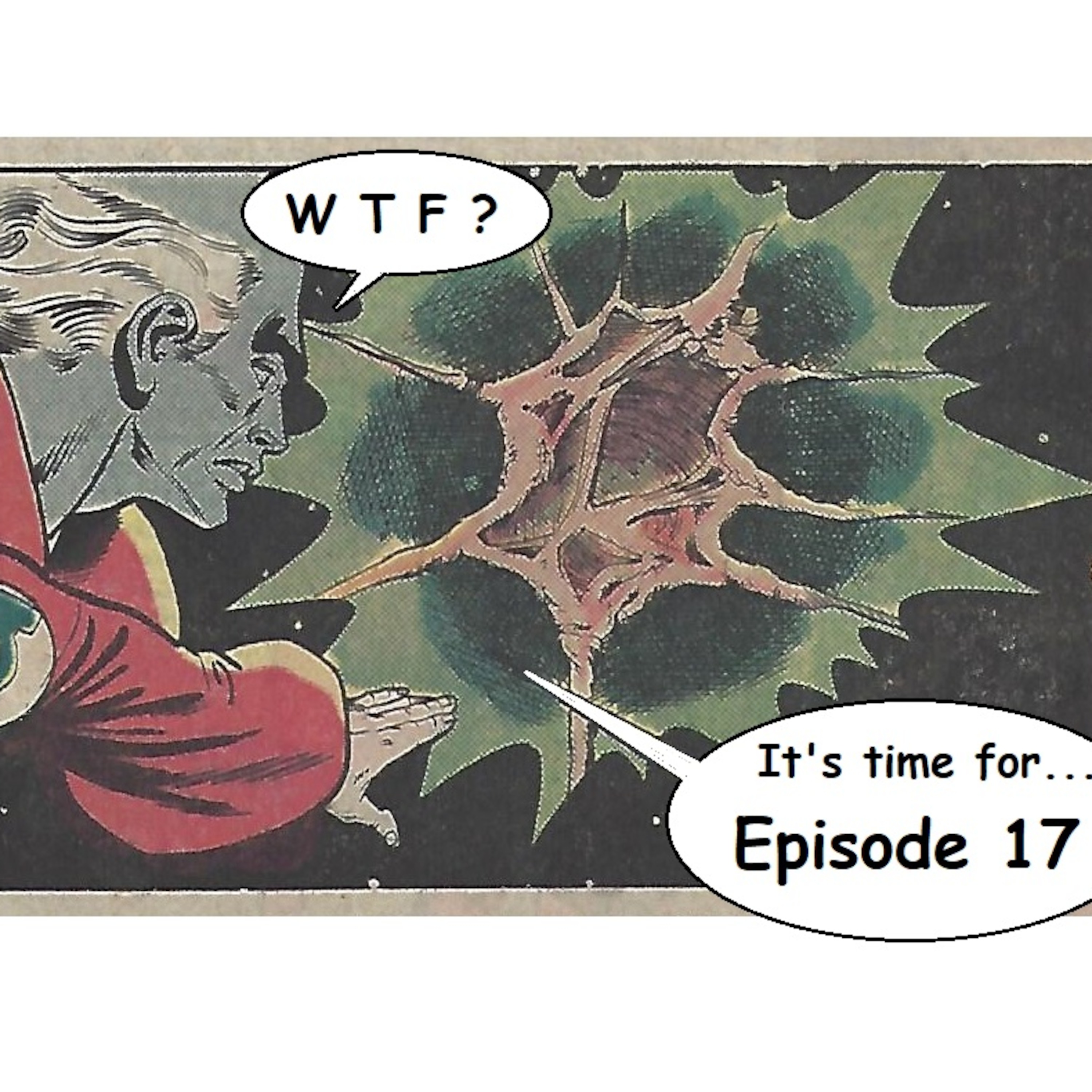 Episode 17 episode artwork