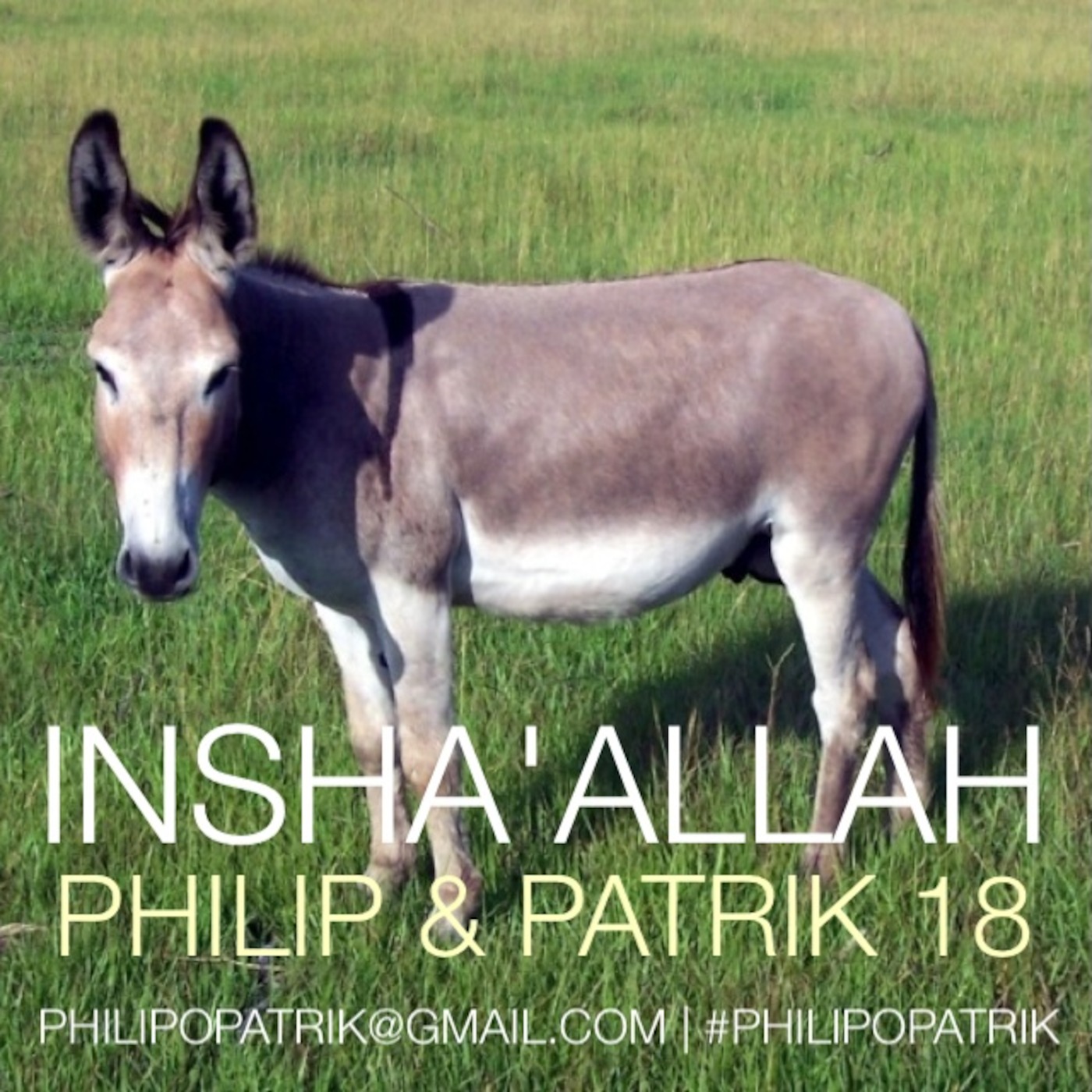 Philip och Patriks Podcast