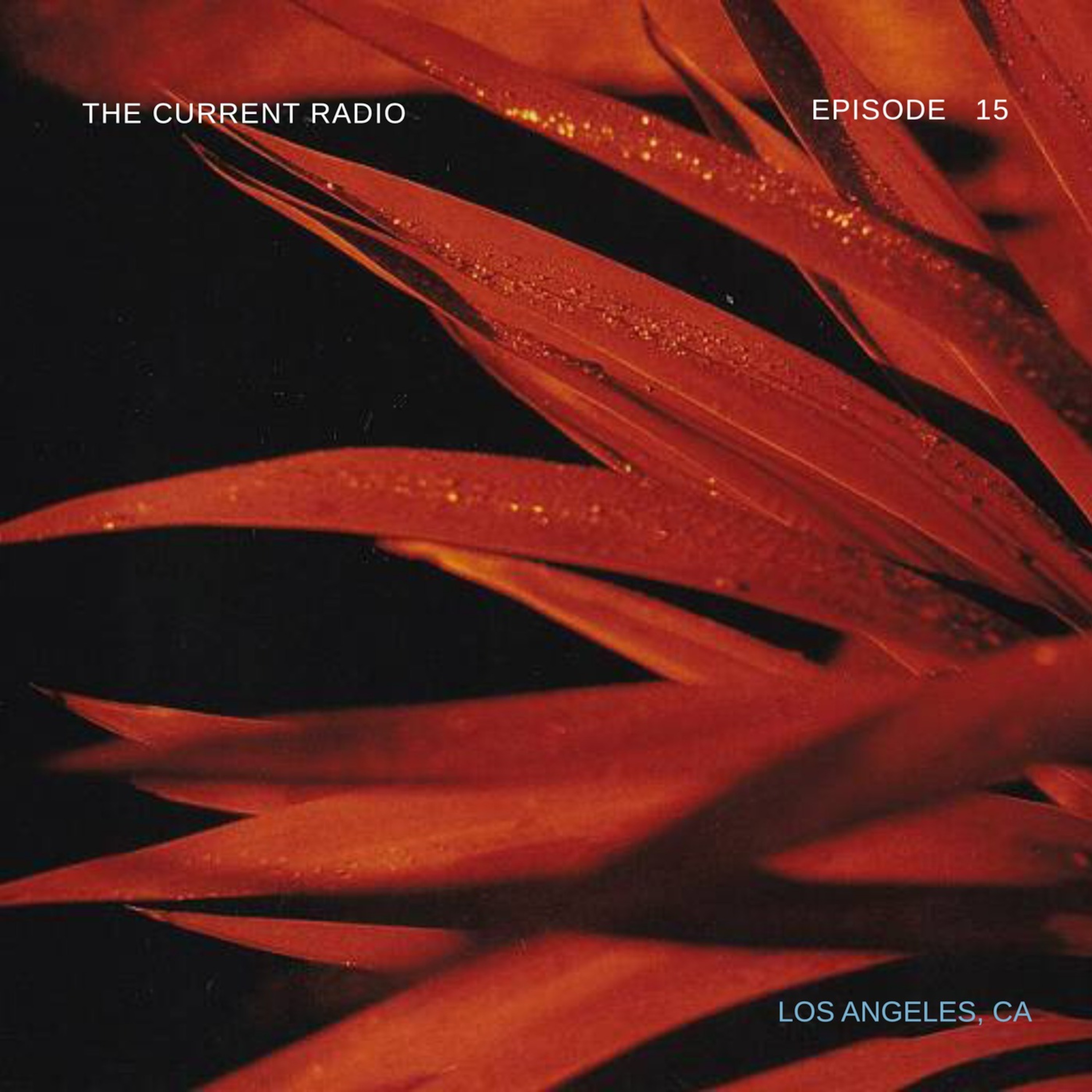 The Current