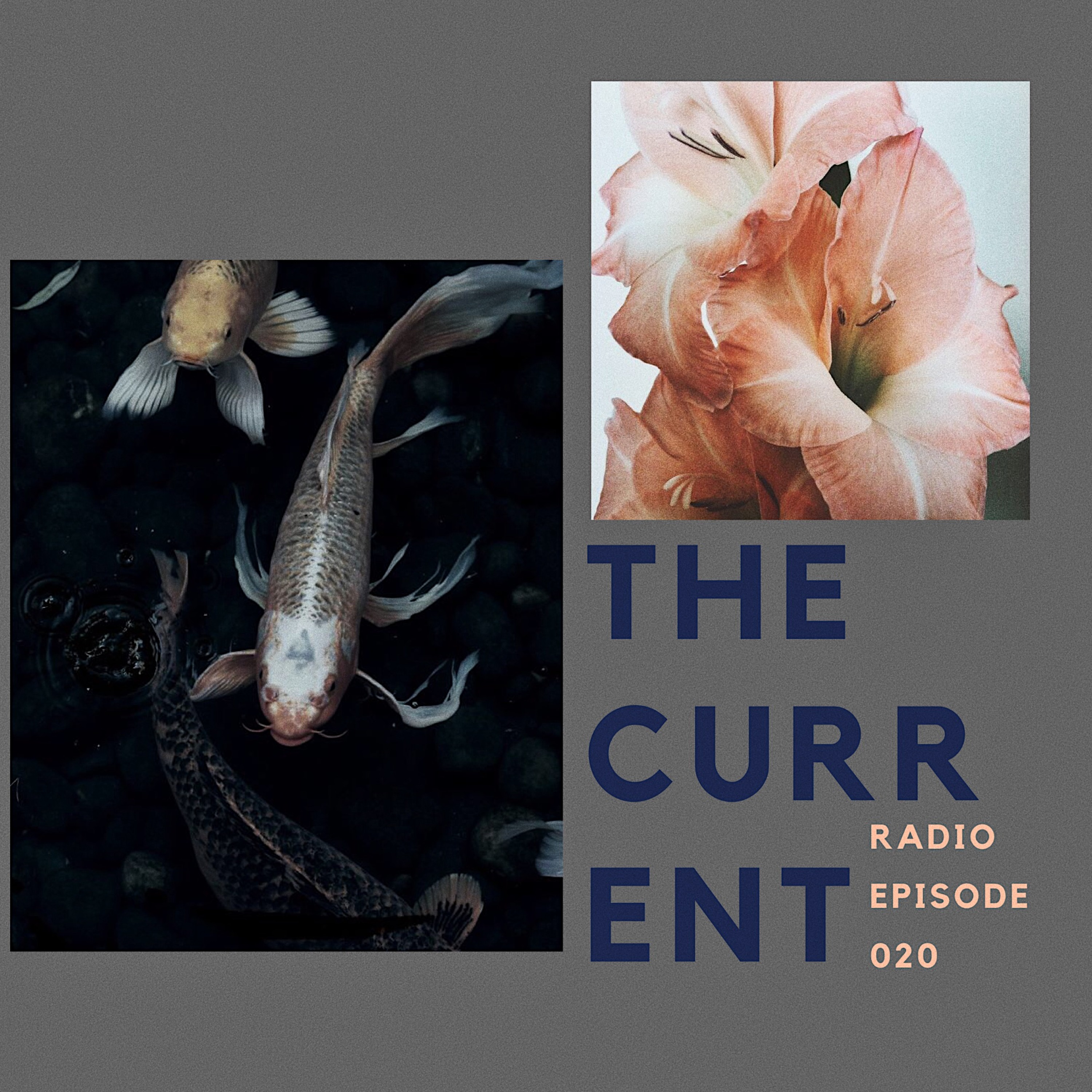 The Current