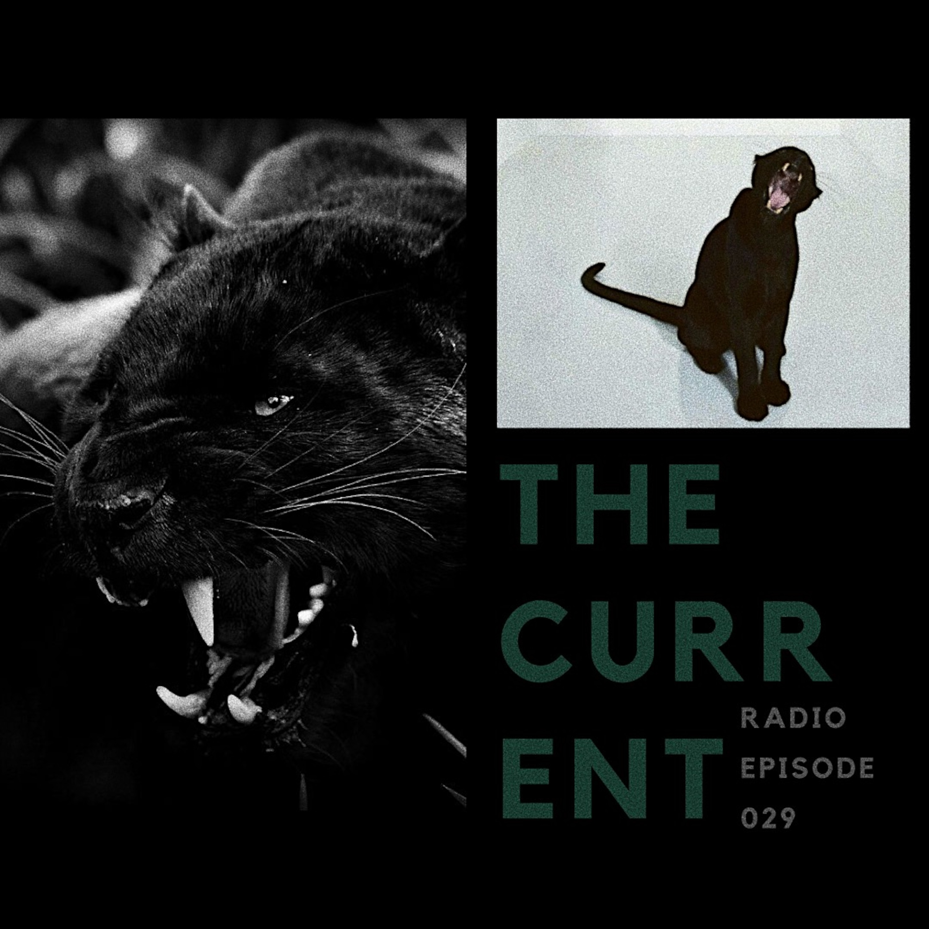 The Current