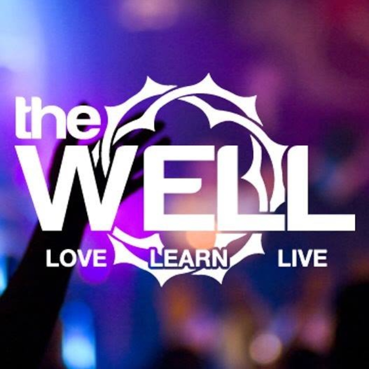 theWELL[26Jun2016] - The Why Behind The What