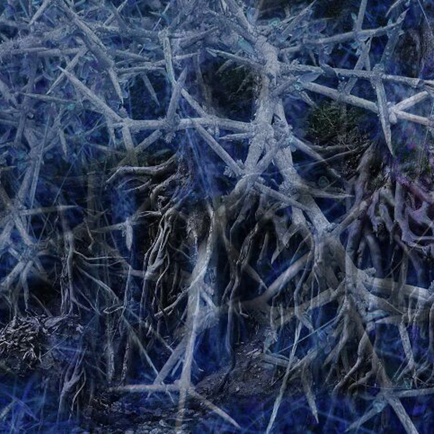 Brambles in the Vineyard, Bitterness episode artwork