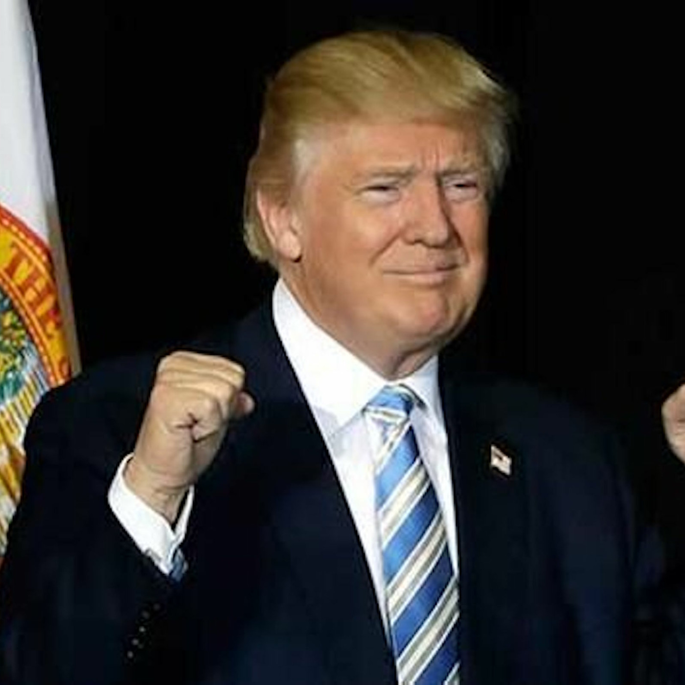 President Elect Trump episode artwork