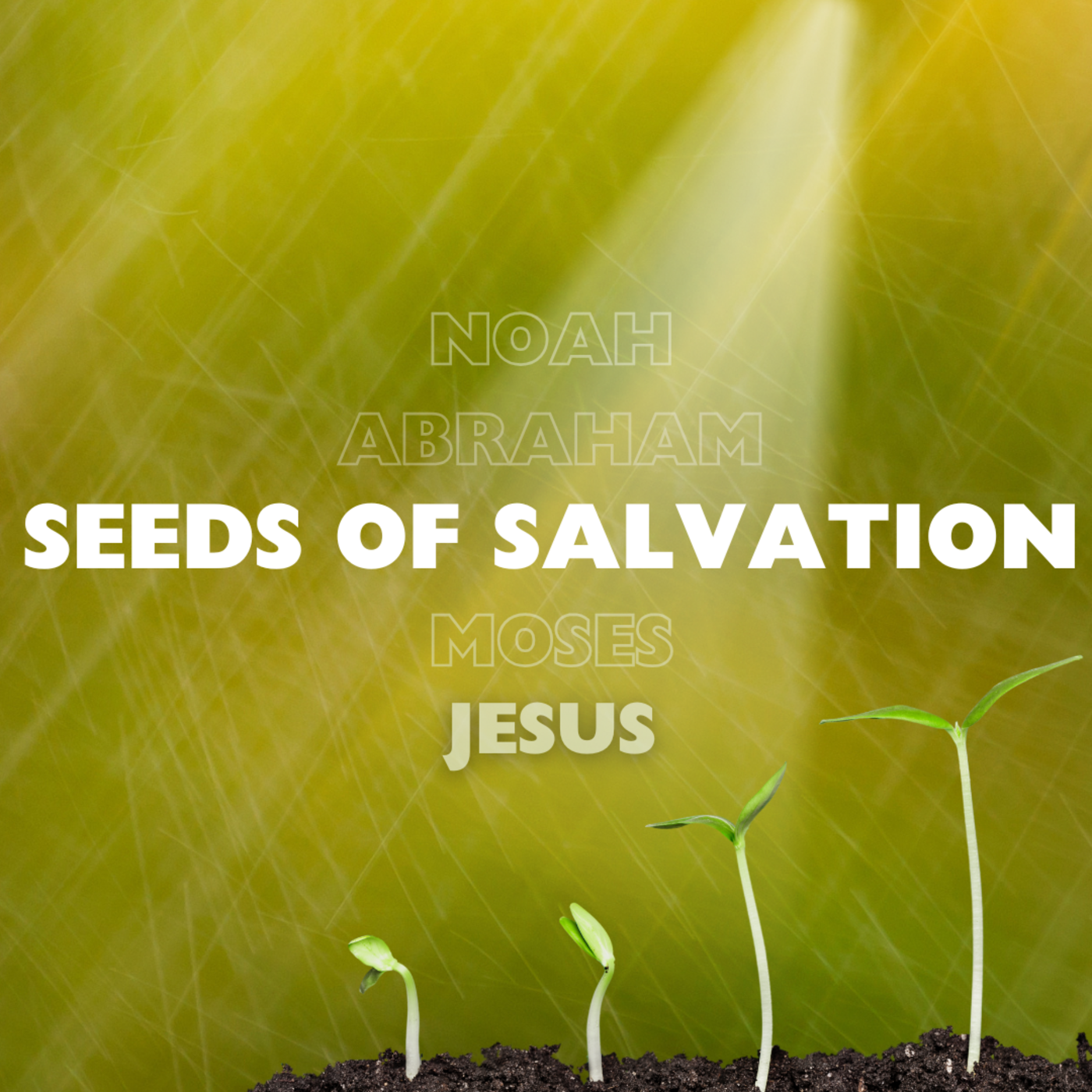 Episode 251: Seeds of Salvation (part 4)