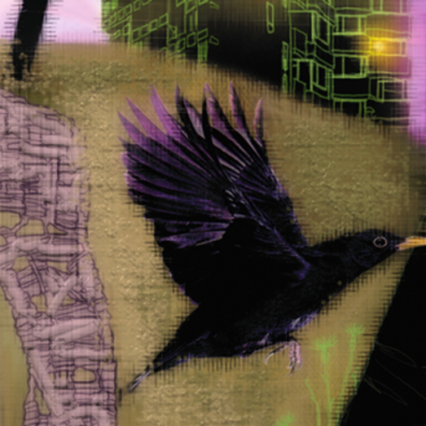 Episode 3- Summer Eclipse Special