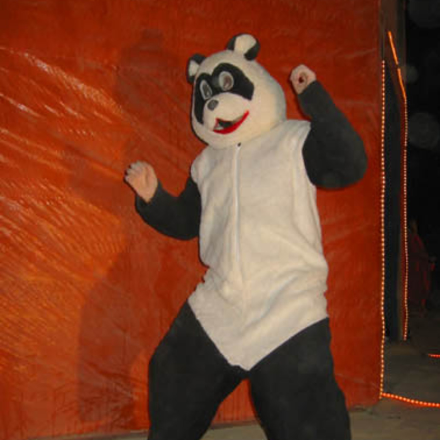 Fear The Panda
