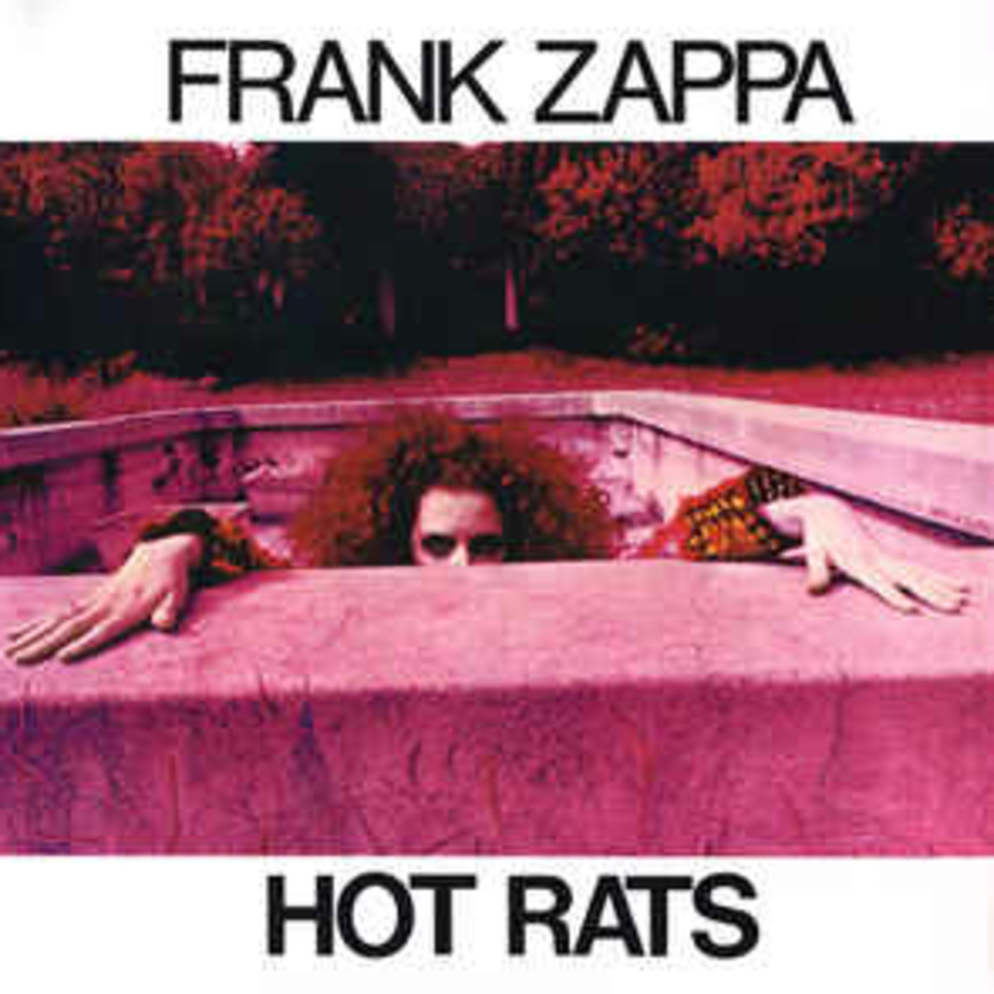 Episode 6: Frank Zappa - Hot Rats (Greg Potters w/ special guest) episode artwork