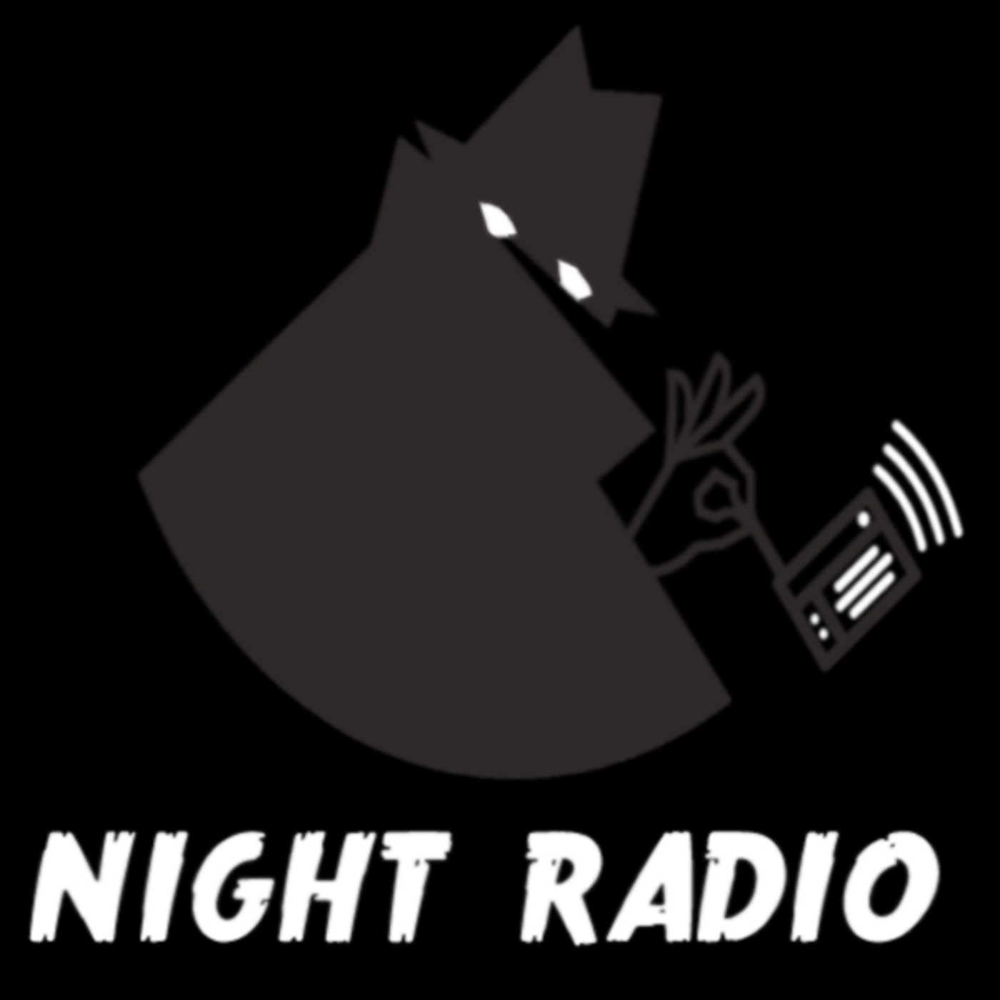 NIGHT RADIO