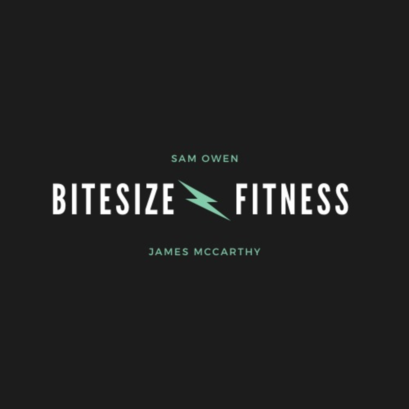 Bitesize Fitness