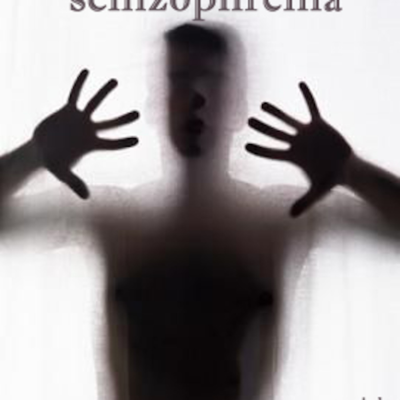 schizophrenia - an electo dubstep funky DJ mix