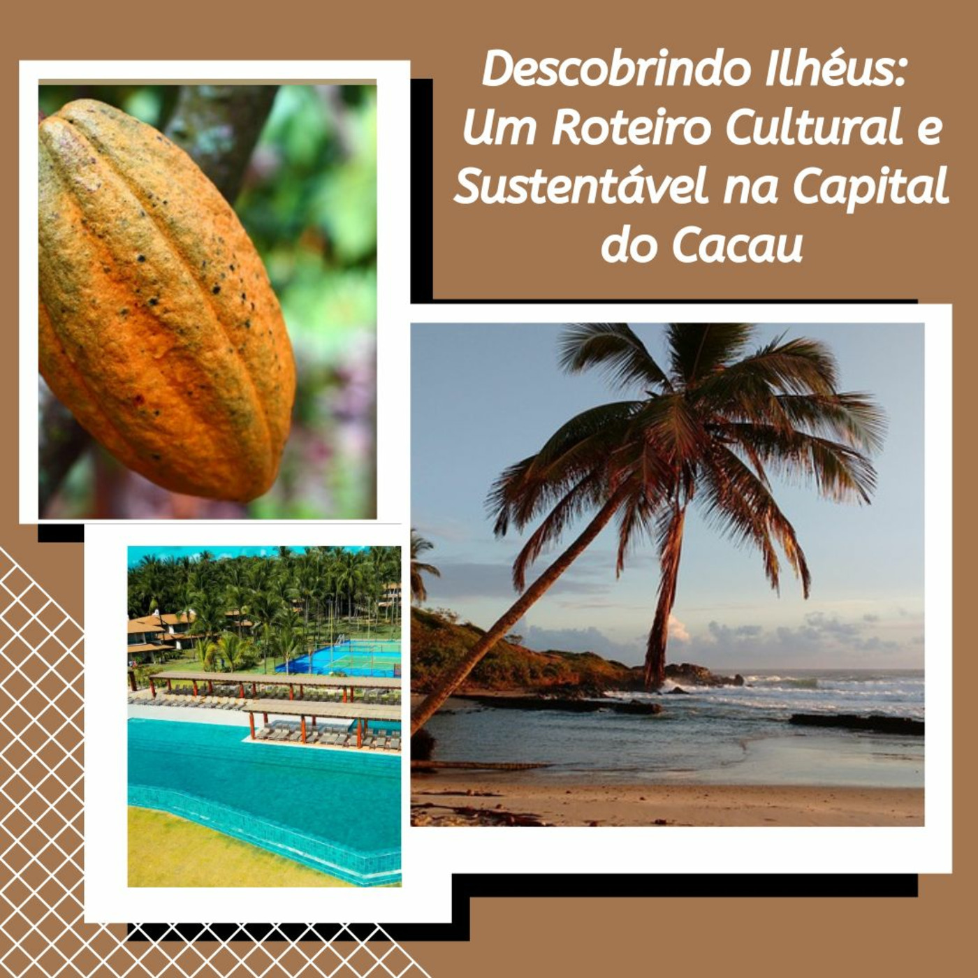 Episode 207: Podcast #207 Descobrindo Ilhéus: Um Roteiro Cultural e Sustentável na Capital do Cacau