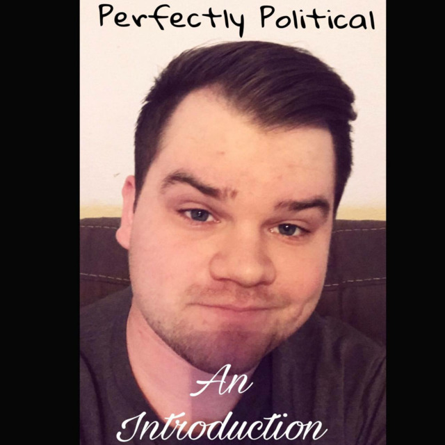 Perfectly Political