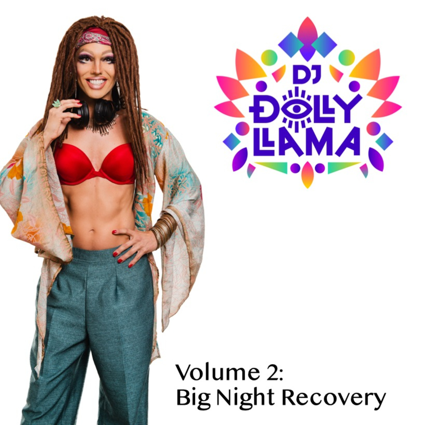 DJ Dolly Llama