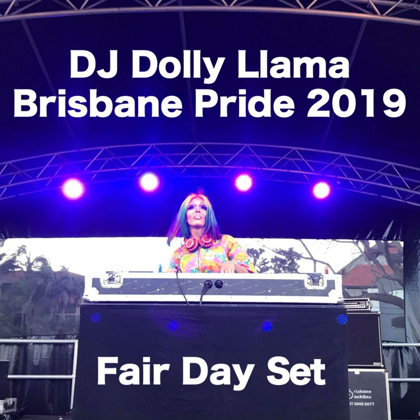 DJ Dolly Llama
