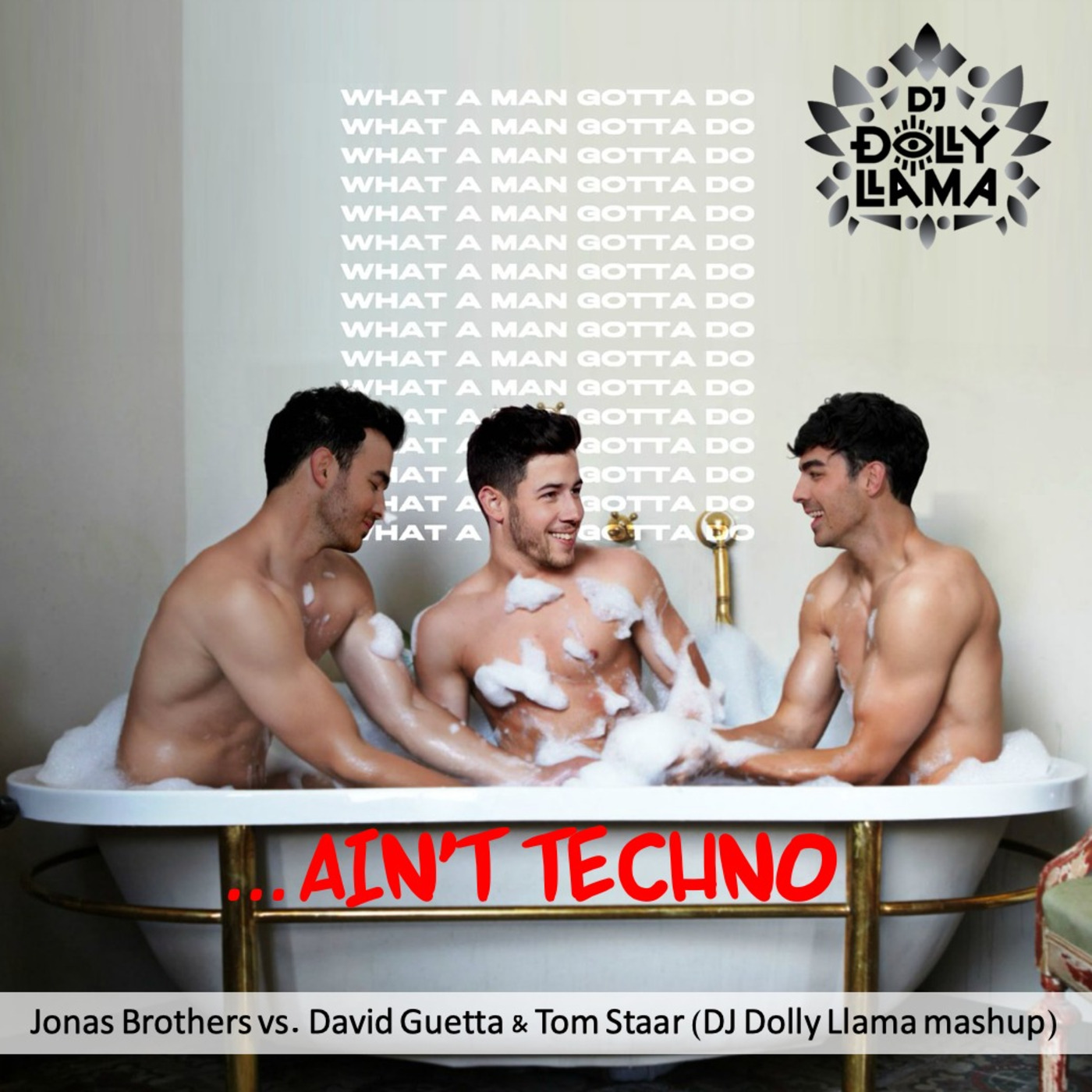 What a Man Gotta Do AIN'T TECHNO - Jonas Bros vs David Guetta + Tom Staar (DJ Dolly Llama mashup)