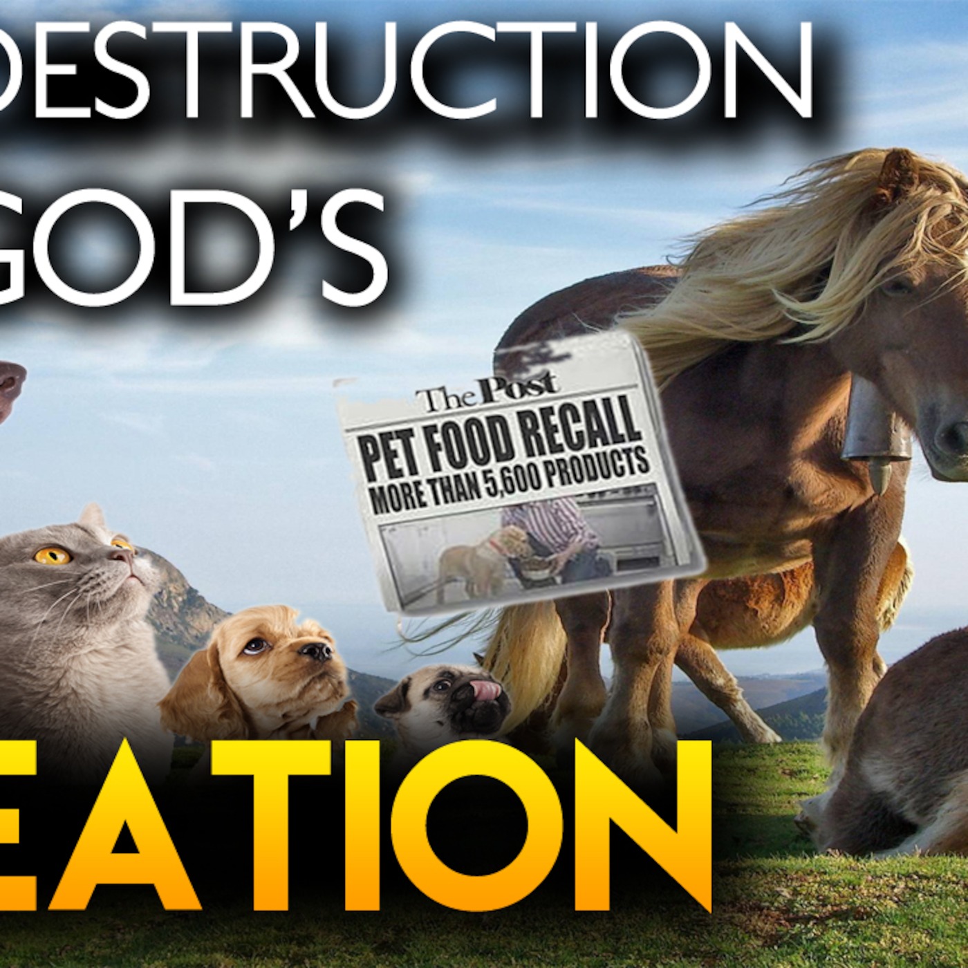 DESTRUCTION Of God's CREATION (Documentary) | Pet Industry Exposed episode artwork
