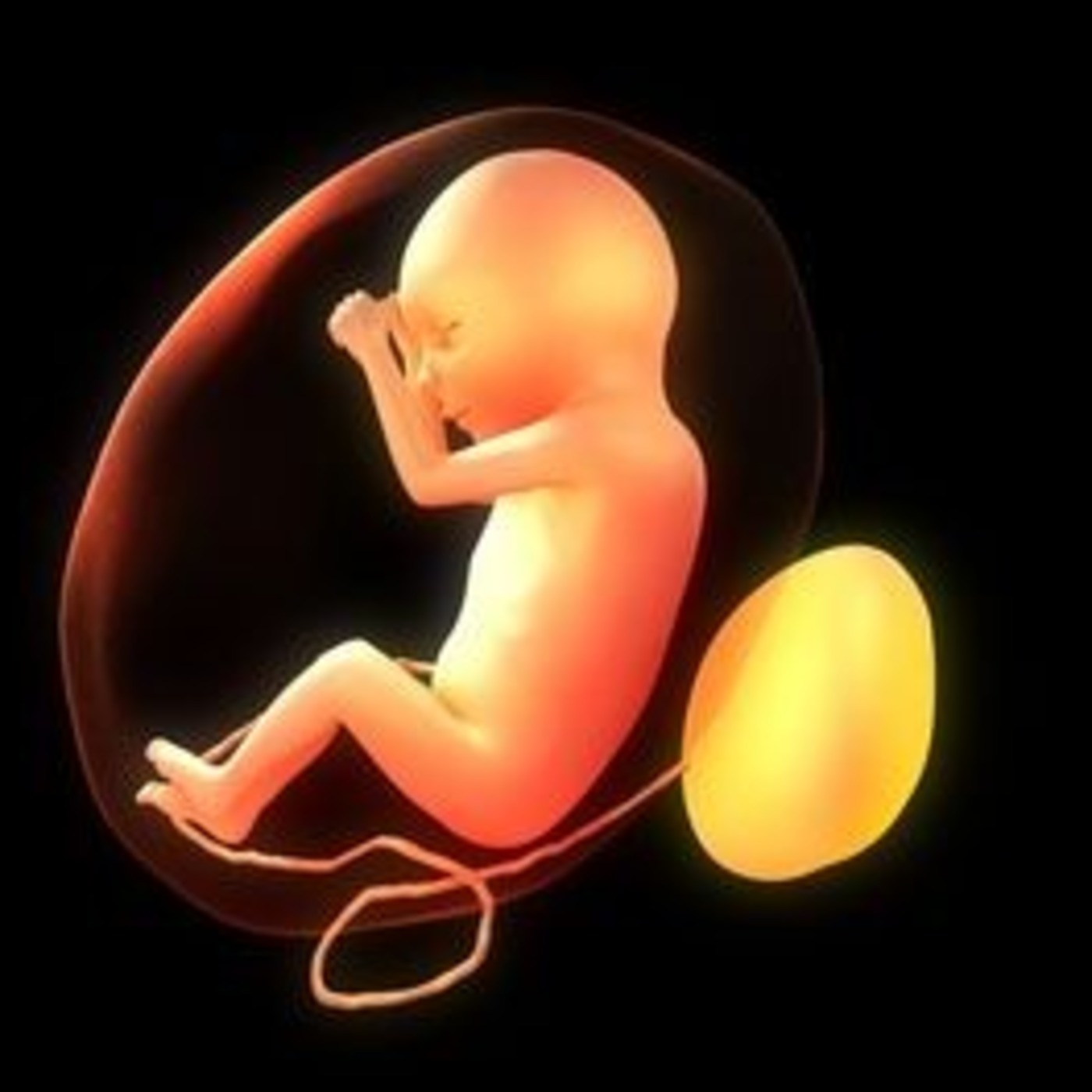 Designer Babies: 30 Genetically Modified Babies Born; New Species Of Man