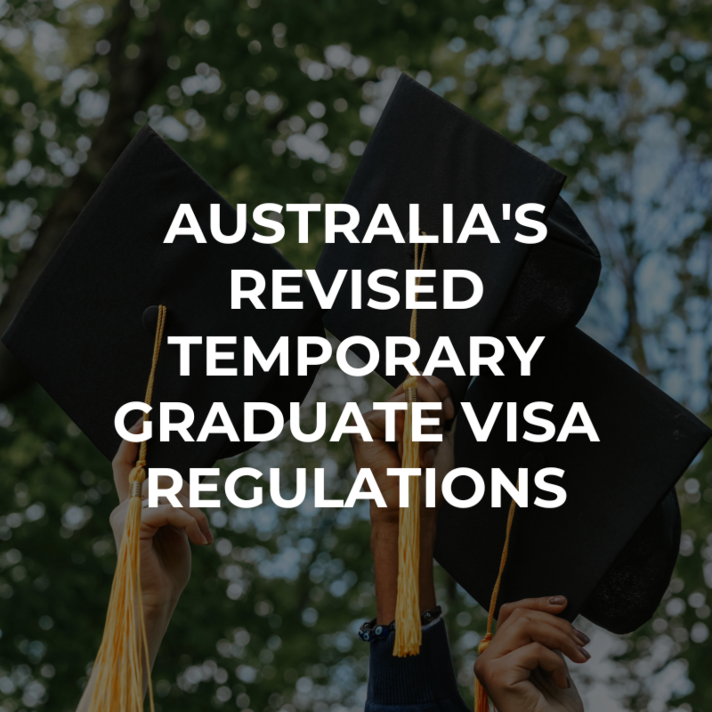 Amit Kakkar Easy Visa