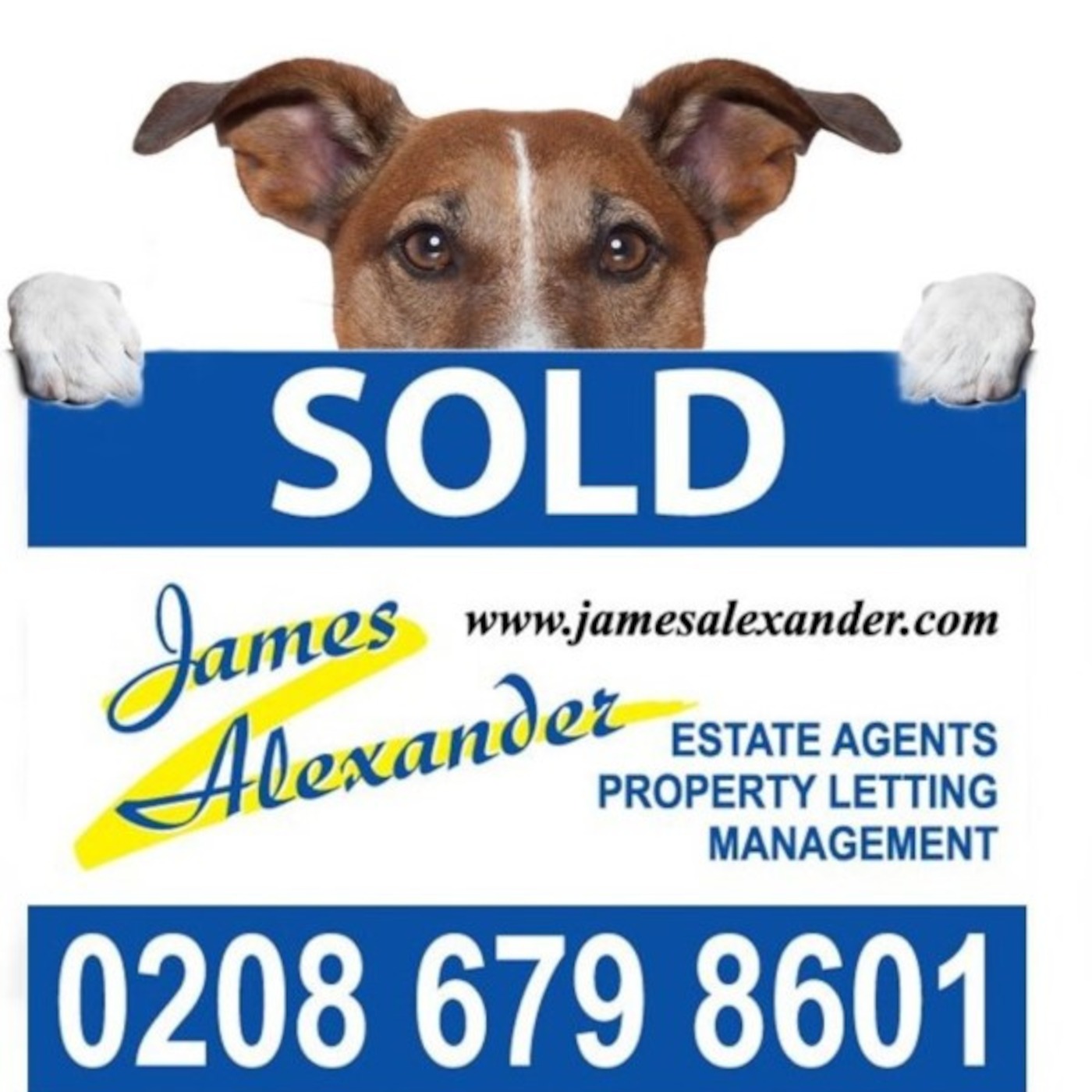 Property Chat From James Alexander