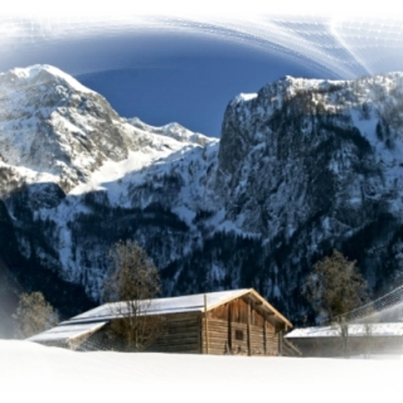 Fr. Jim\'s Weekly Homily