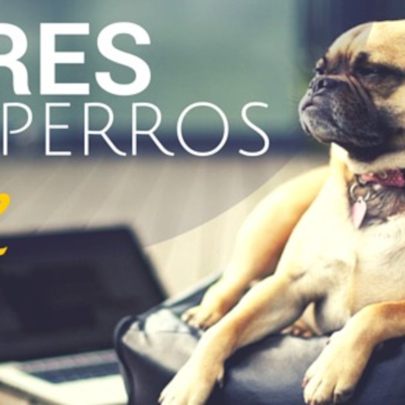 Jon Mendiola\'s Podcast