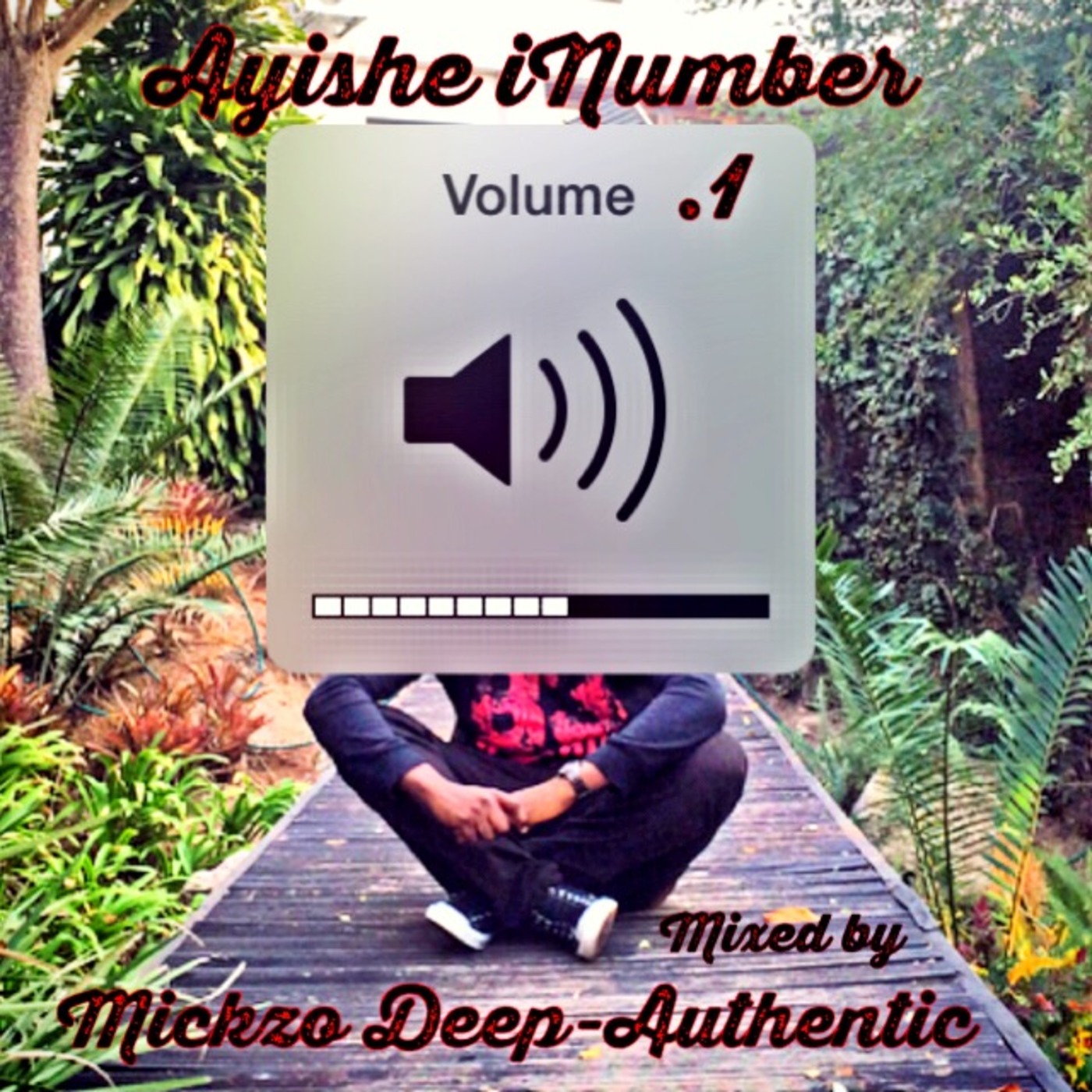 Ayishe iNumber Vol. 01