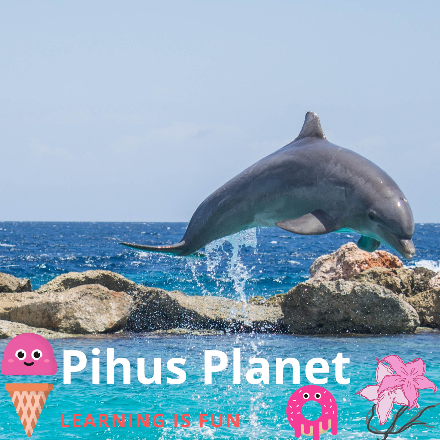 Pihusplanet