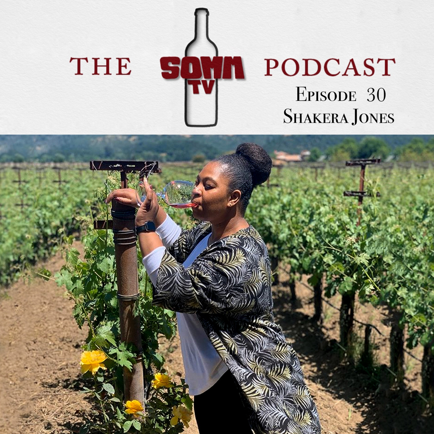 SOMM TV wine & food