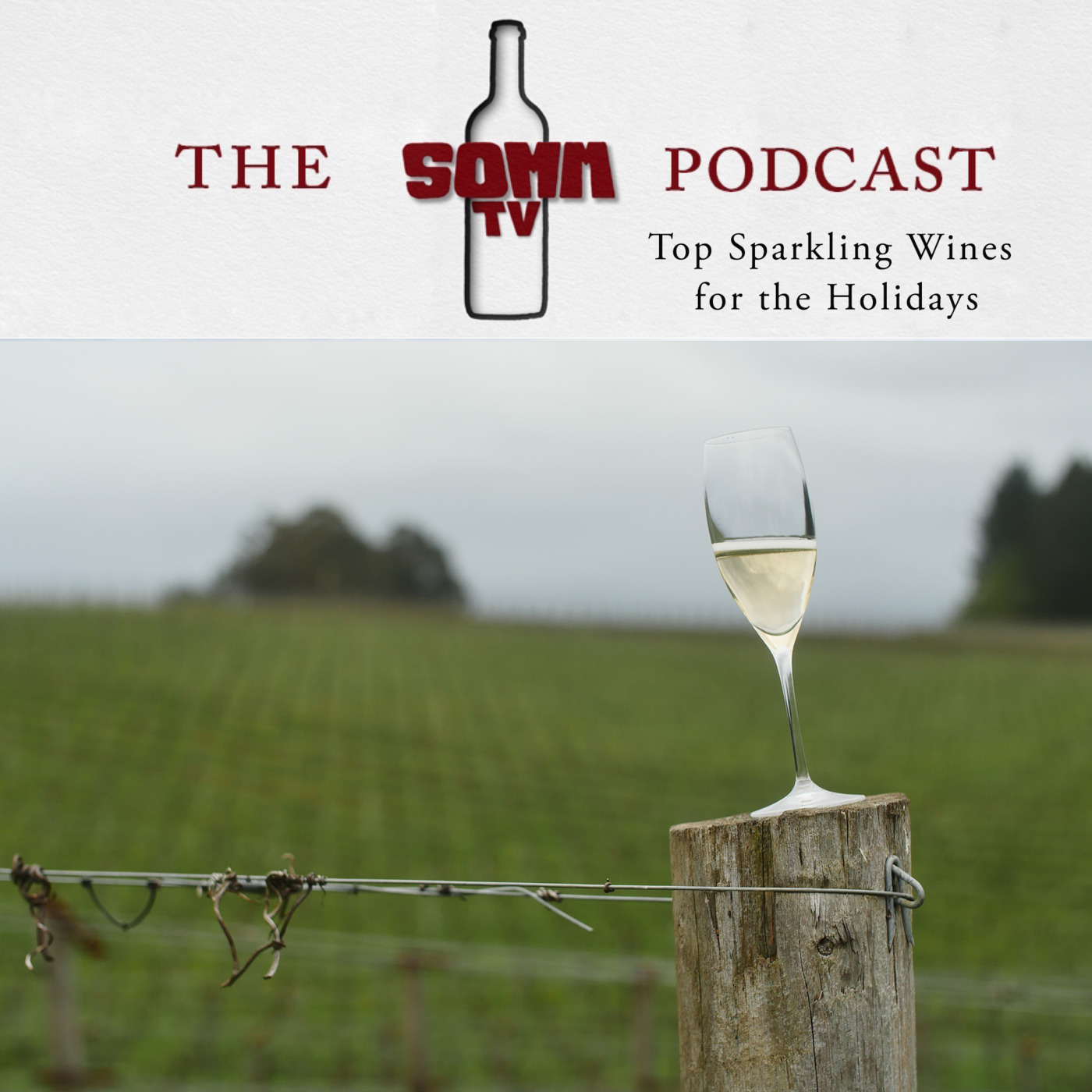 Episode 150: Top Sparkling Wines for the Holidays