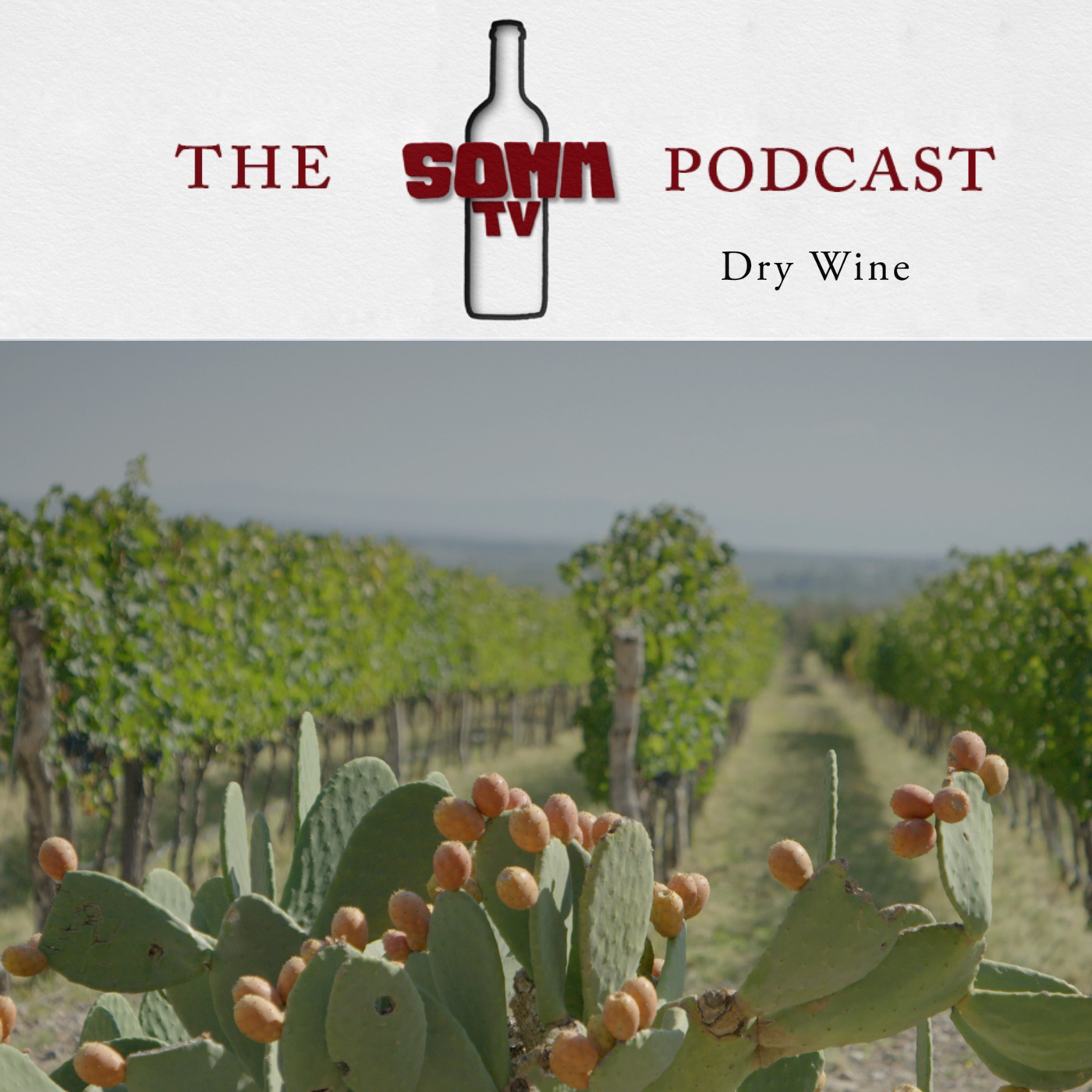 Episode 155: Dry Wines